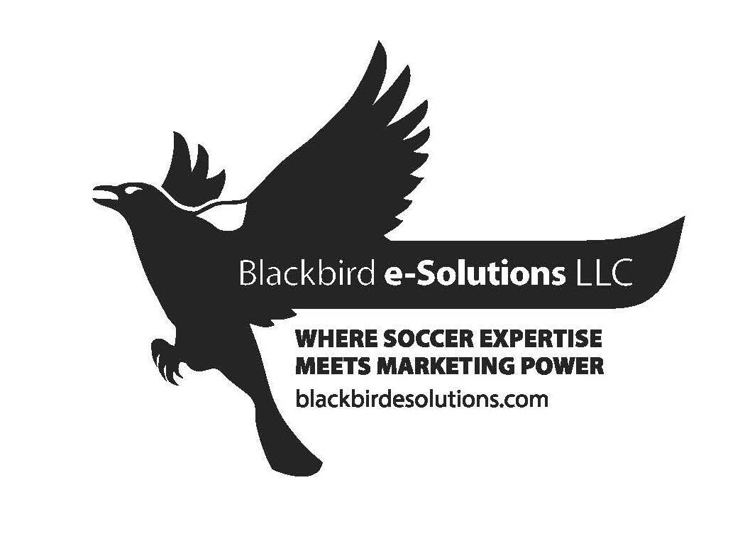 Blackbird e-solutions